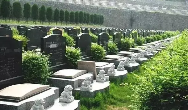 墓地20年续费怎么续多少钱?