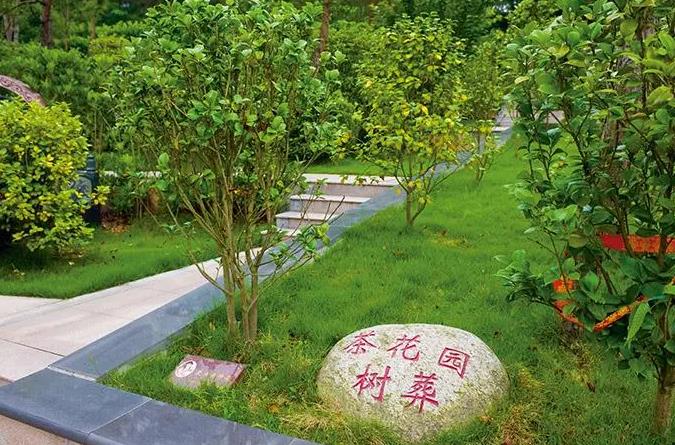 北京可以树葬的陵园有哪些？