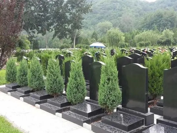 昌平凤凰山陵园有生态葬吗？