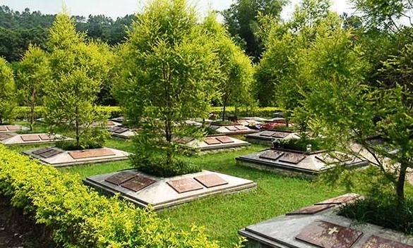 朝阳区生态葬墓地有哪些？